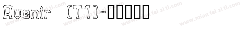 Avenir (T1)字体转换